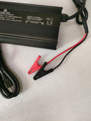 Charger 29.2V 20A LiFePO4 Battery Charger
